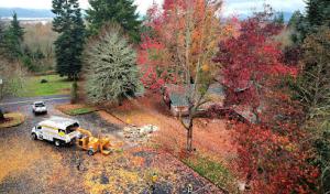 Billing's Outback Septic Service