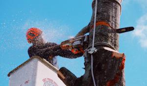 Wright Septic & Excavation