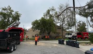 Gomez Landscape & Tree Care