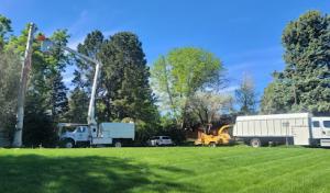 Canales Tree Service