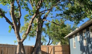 Above & Beyond Services