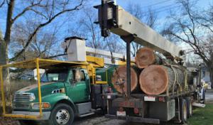 Piece It Out Tree Service