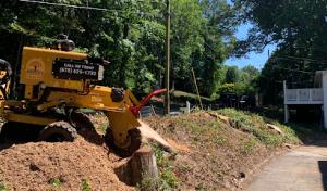 Ronito's Tree Service