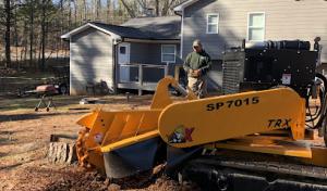 Antonio's Tree Experts