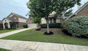 Rumaldo’s Tree Service & Landscaping