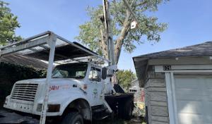 Moore's Tree Service & Landscaping