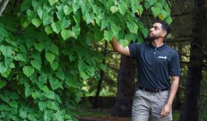 The Davey Tree Expert Company