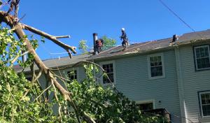 Cutting Edge Tree Experts