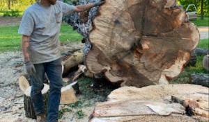 Richland Tree Service