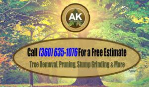 AK Timber Services
