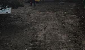 ⚡️LIGHTNING TREE SERVICES LLC⚡️