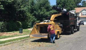 Scottie’s Tree Service