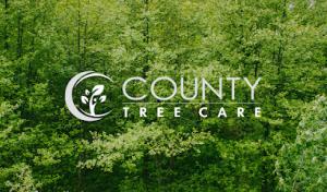 County Tree Care