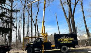 Extreme Tree Service