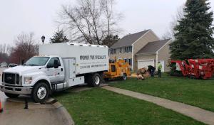 Premier Tree Specialists