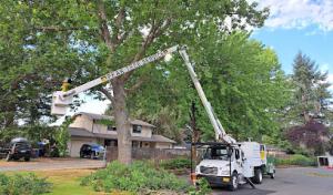 Schroeder Septic Systems