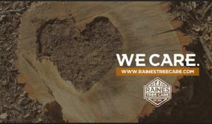 Raines Tree Care
