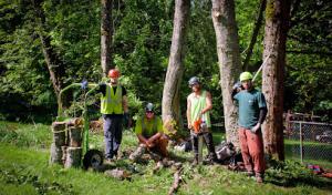 Blue Ribbon Tree & Landscape Specialists