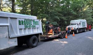 Brooke Tree Service