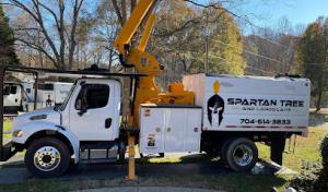 Spartan Tree & Landscape