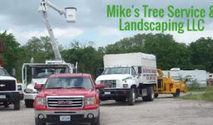 Mikes Tree Service & Landscaping