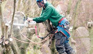 Superior Septic Pumping Service