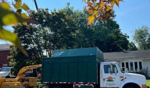 Heaven to Earth Tree Service Landscaping