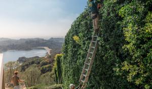 Peninsula Septic Service