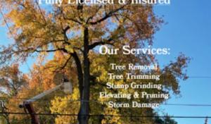 Frattaroli Tree Service