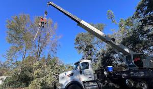 Prestige Tree Services