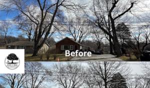 Steve’s Trees & Contracting