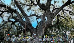 S.A. Total Tree Service