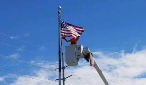 Timmy's Tree Service