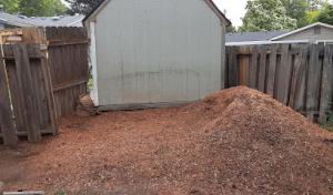 A&A Stump Removal & Shrub Care