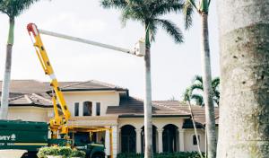 The Davey Tree Expert Company