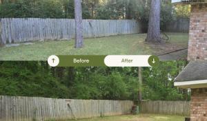 OpExcellence Tree & Stump Pros