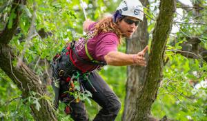 Summit Arborists
