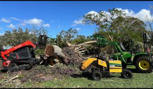 Manatee Stump Grinding