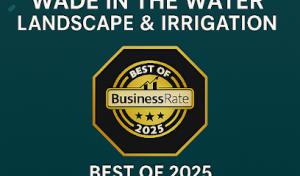 Allied Septic Service