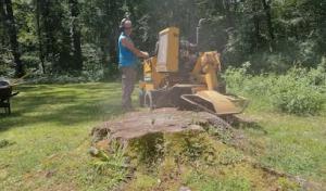 Northland Septic Maintenance
