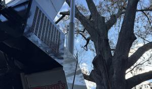 Tyson's Tree Service