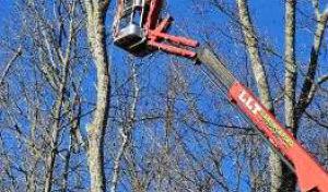 Speights & Sons Septic Tank