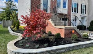 Benitez Landscape & Design