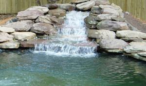 Premier Turf & Landscaping