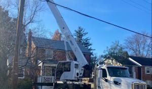 Gutierrez Tree & Crane Services
