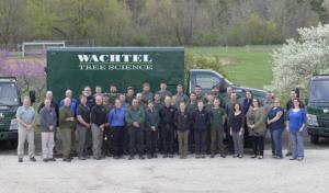 Wachtel Tree Science