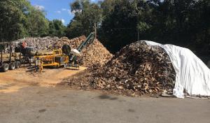 Bradley Tree Experts