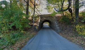 Horgan Tree Experts.