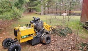 Eagle Valley Stump Removal & Land Care