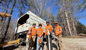 Arborall Tree Service